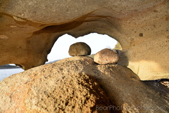 tips for better photos - unusual viewpoint - show your subjects different 