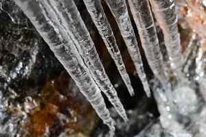 Arte congelado - naturaleza en accin